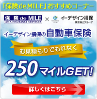 �C�[�f�U�C�����ۂ̎����ԕی� �����ς���ł���Ȃ�250�}�C��GET!