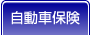 �����ԕی�