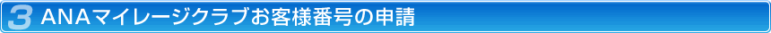 3.ANA�}�C���[�W�N���u���q�l�ԍ��̐\��