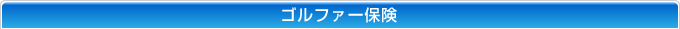 �S���t�@�[�ی�