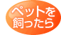 �y�b�g����������