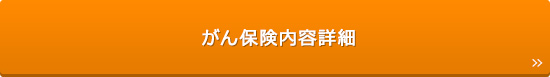 がん保険内容詳細
