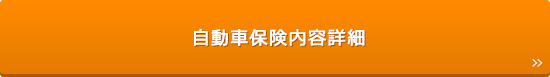 自動車保険内容詳細