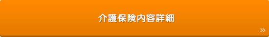 介護保険内容詳細