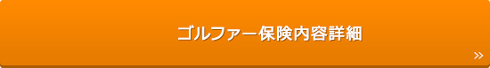 ゴルファー保険内容詳細