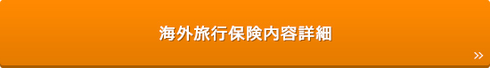 海外旅行保険内容詳細