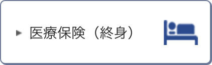 医療保険（終身）