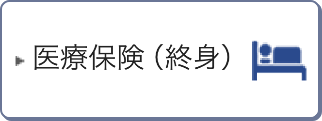 医療保険（終身）