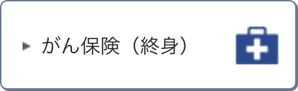 がん保険（終身）
