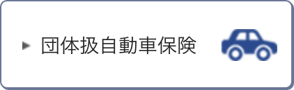 団体扱自動車保険
