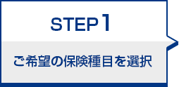 STEP1 ご希望の保険種目を選択