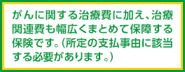 がんに関する治療費に加え、治療関連費も幅広くまとめて保障する保険です。（所定の支払事由に該当する必要があります。)