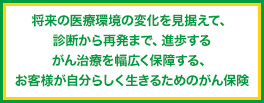 入院や通院、三大治療（手術・放射線・抗がん剤）など幅広いがん治療に対応するがん保険
