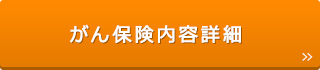がん保険内容詳細