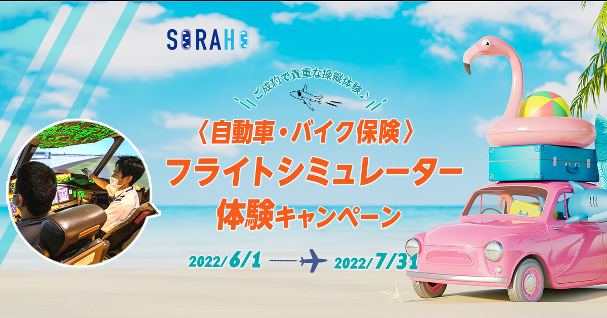 自動車保険の契約 見直しをお得に Ana Sky コインが貯まるsoraho