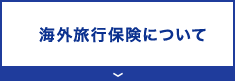 海外旅行保険について