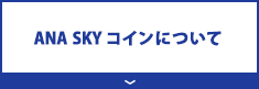 ANA SKY コインについて