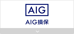 AIG損保