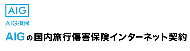 AIG�̍������s�ی��C���^�[�l�b�g�_��