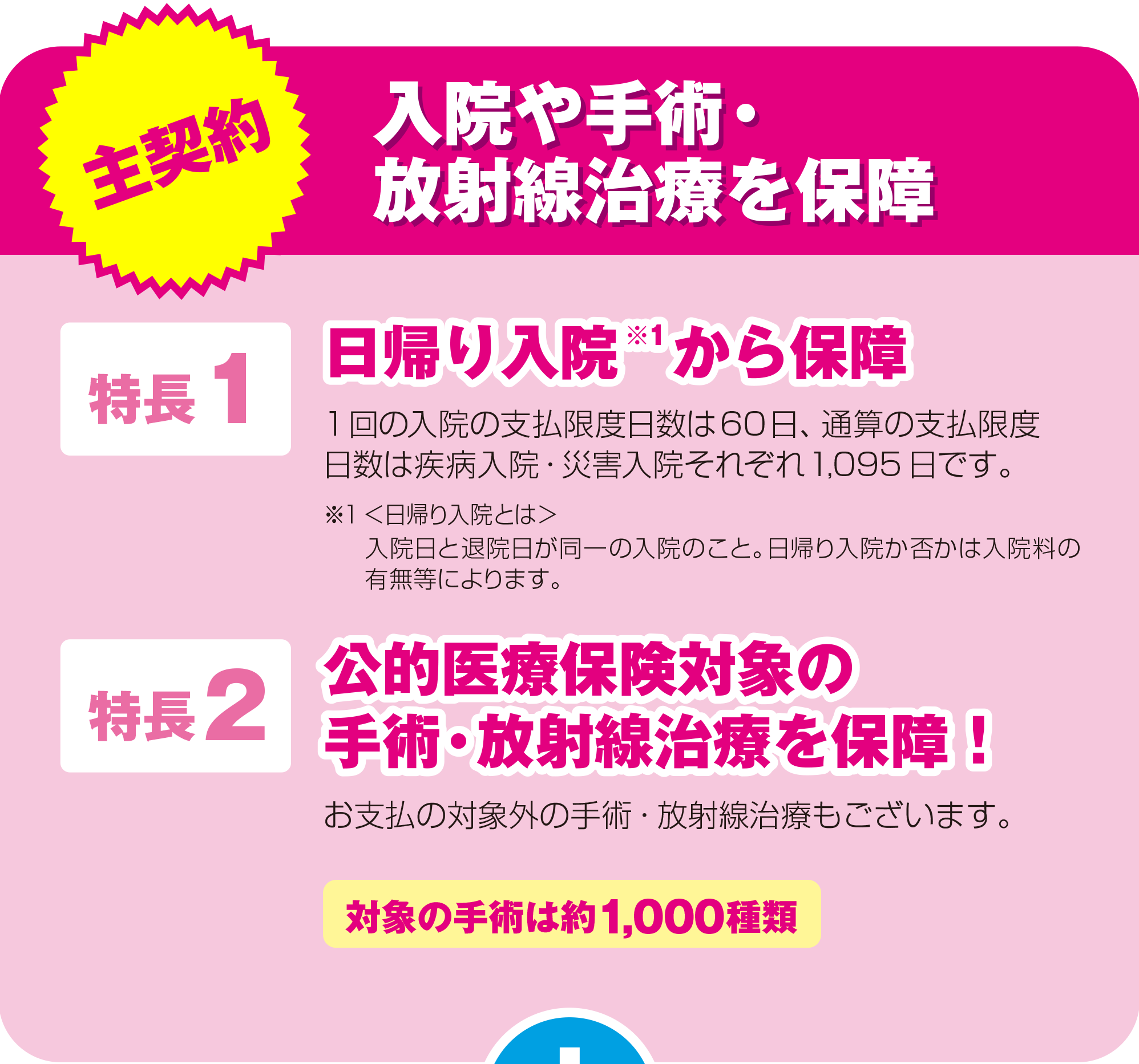 主契約：入院や手術・放射線治療を保障