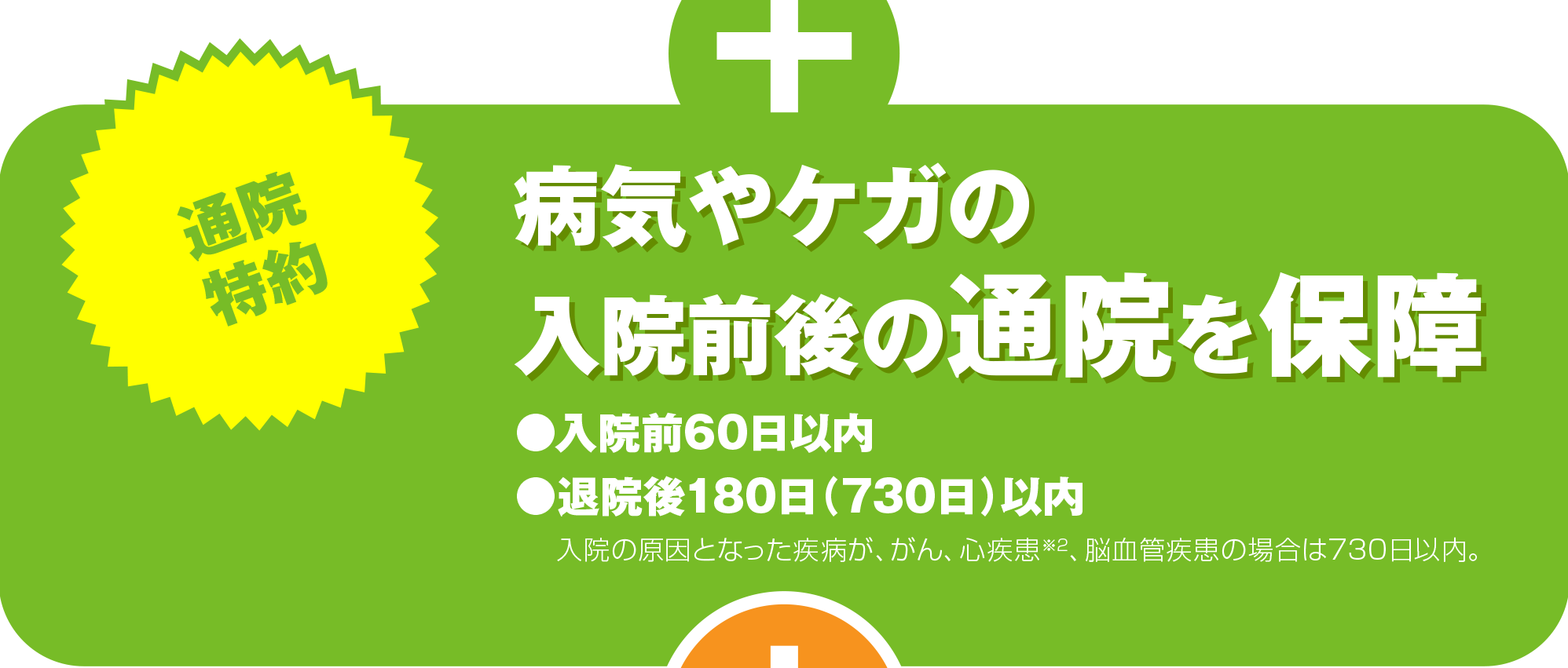 通院特約：病気やケガの入院前後の通院を保障
