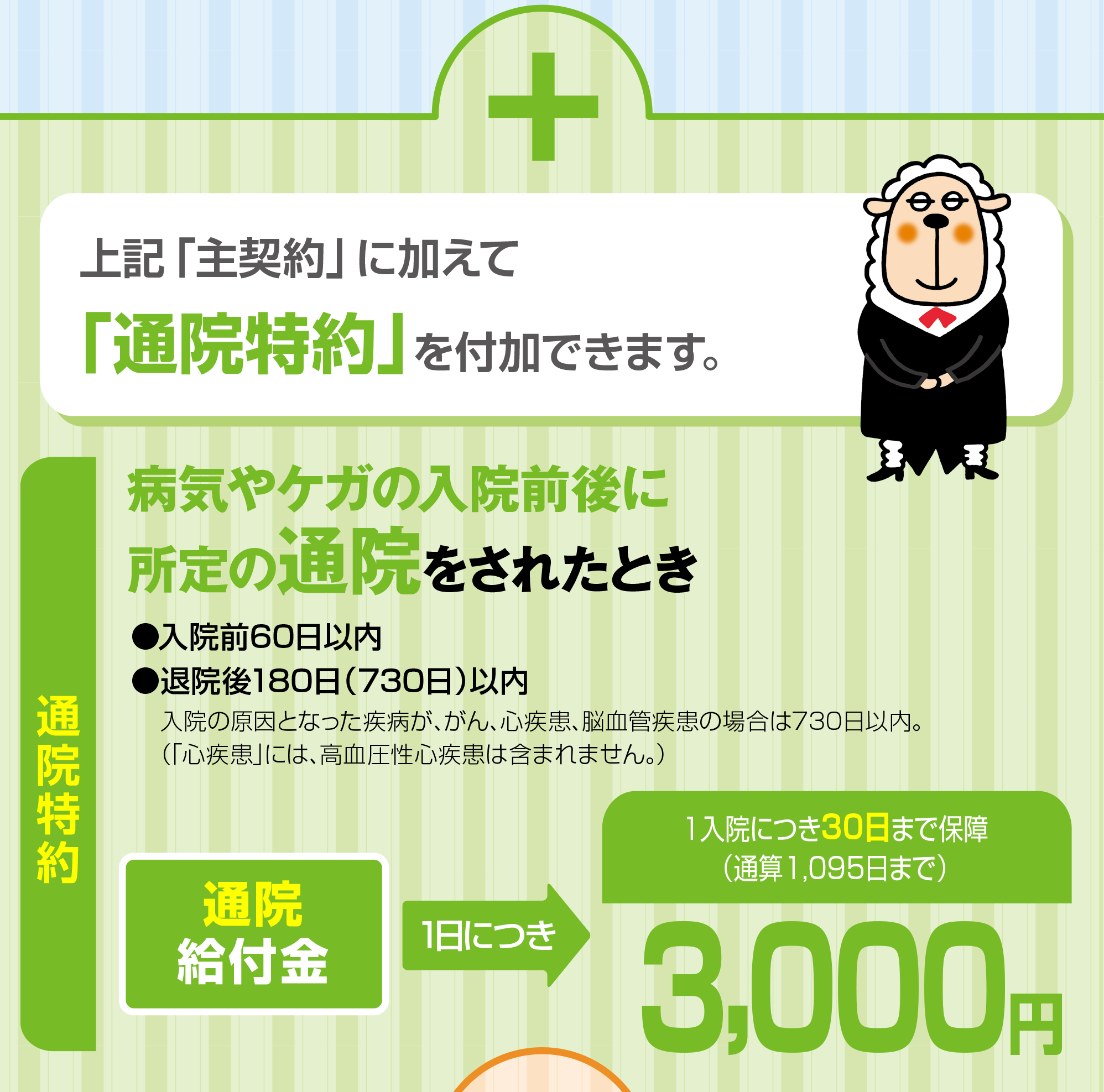 通院特約：上記「主契約」に加えて「通院特約」を付加できます。病気やケガの入院前後に所定の通院をされたとき、通院給付金1日につき3,000円。