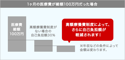 1ヶ月の医療費が総額100万円だった場合