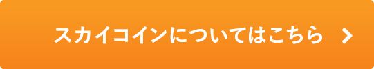 ANA SKY コインについてはこちら