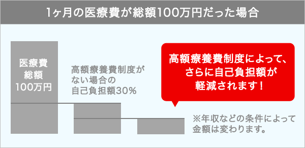 一ヶ月の医療費が総額100万円だった場合