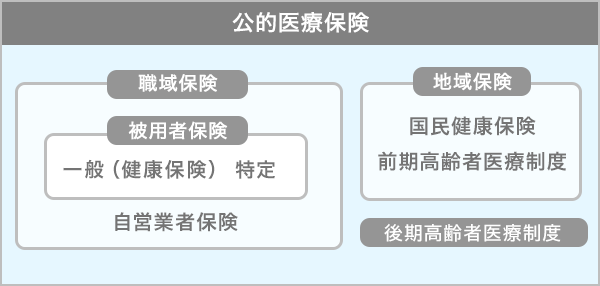 公的医療保険