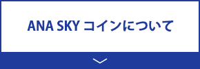 ANA SKY コインについて 