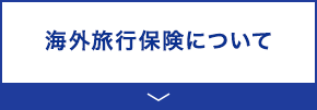 海外旅行保険について 