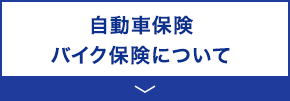 自動車保険 バイク保険について