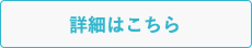 プレミアムポイントとは？