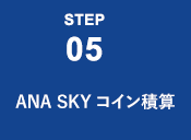 STEP05 ANA SKY コインの積算